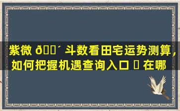 紫微 🐴 斗数看田宅运势测算，如何把握机遇查询入口 ☘ 在哪